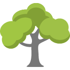 Milwaukee Tree Removal Service