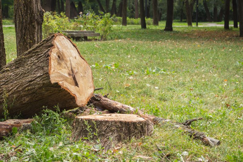 Increase Your Tree Removal Business with an AI Driven, Targeted Website