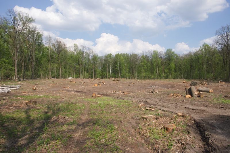 Post-Removal Site